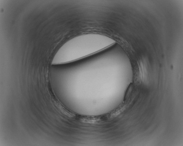 X0000082990661200702011145