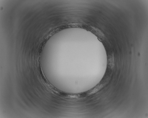 X0000082990662200702011145