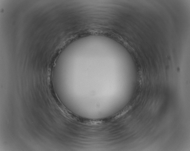 X0000082990664200702011145