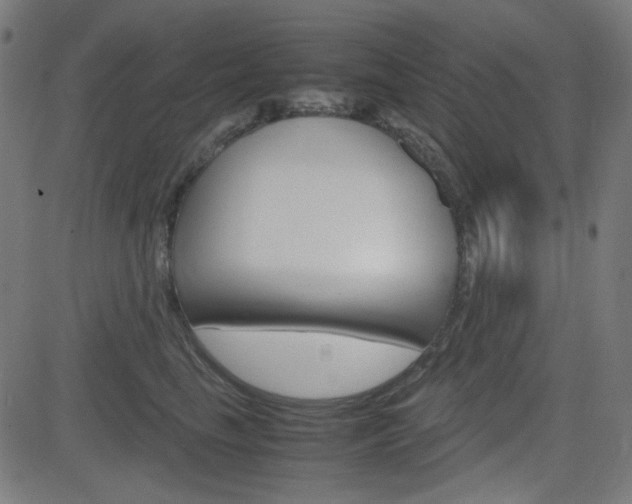 X0000082990665200702011145