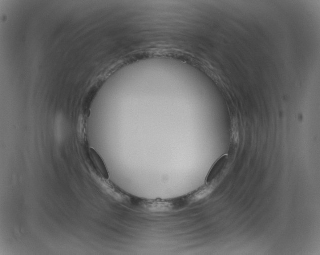 X0000082990670200702011145