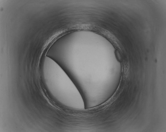 X0000082990674200702011145