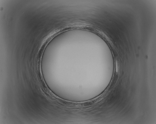 X0000082990675200702011145