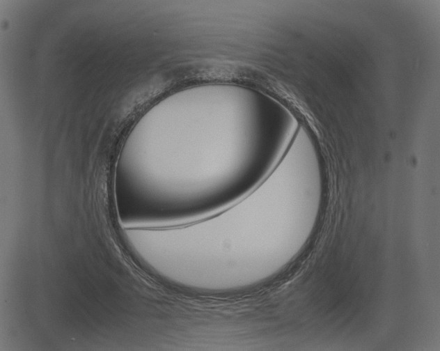 X0000082990681200702011144