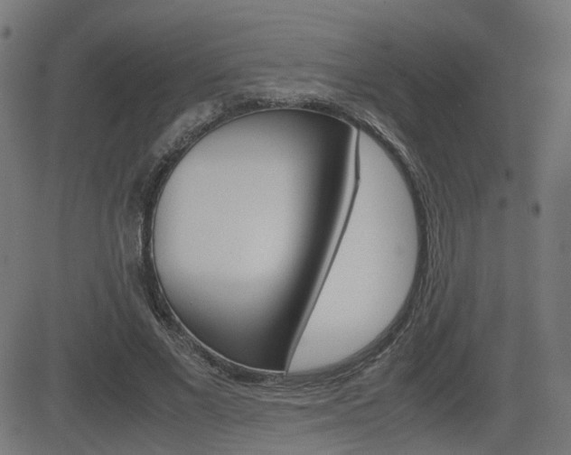 X0000082990685200702011144