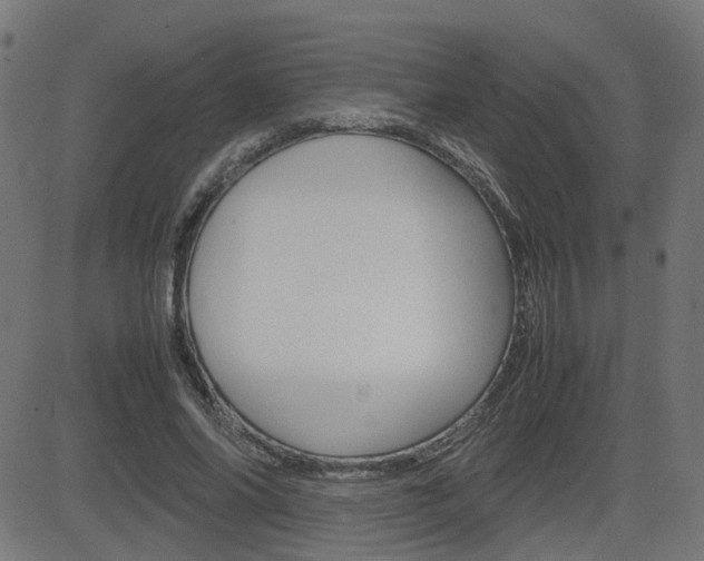 X0000082990686200702011144