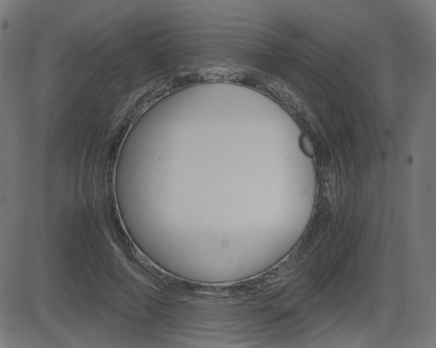X0000082990690200702011144
