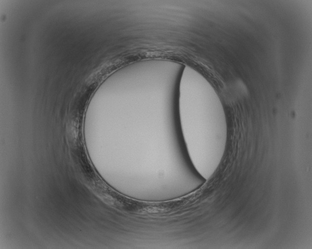 X0000082990691200702011144