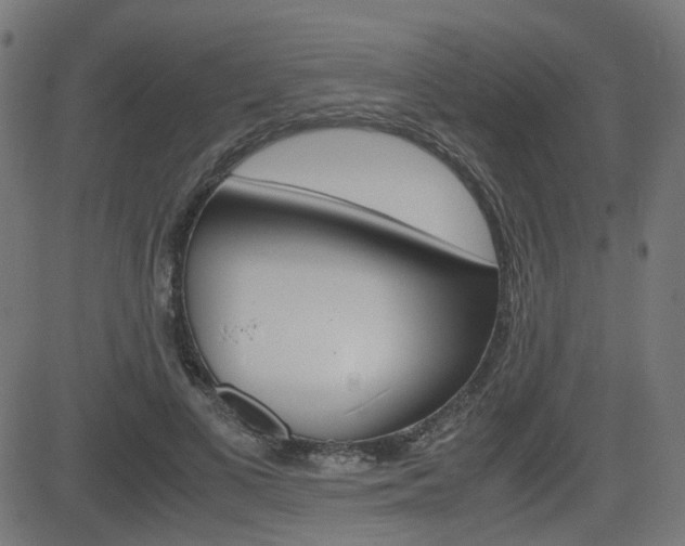 X0000082990693200702011144