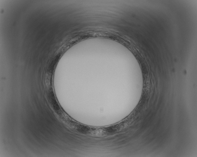X0000082990695200702011144