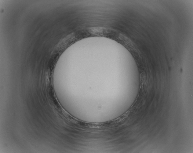 X0000082990702200702011144