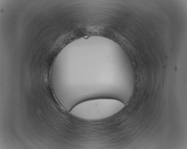 X0000082990706200702011144