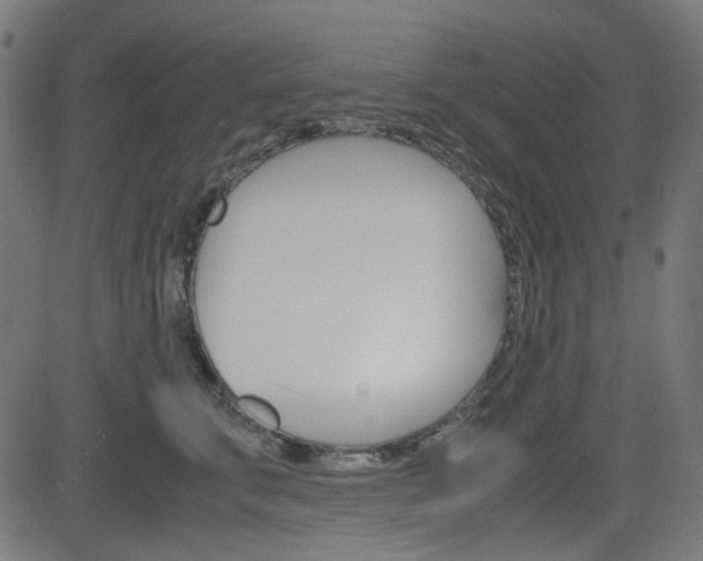 X0000082990711200702011144