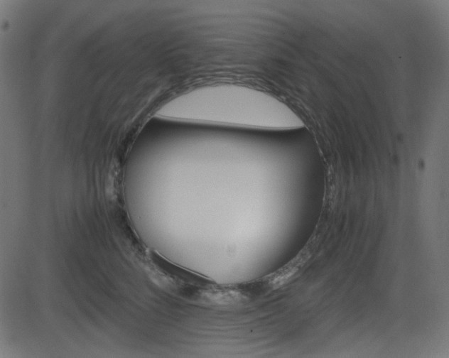 X0000082990712200702011144