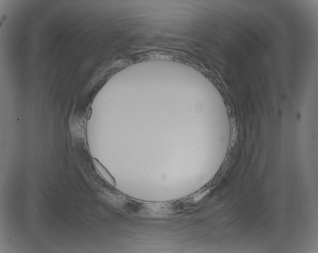 X0000082990713200702011144