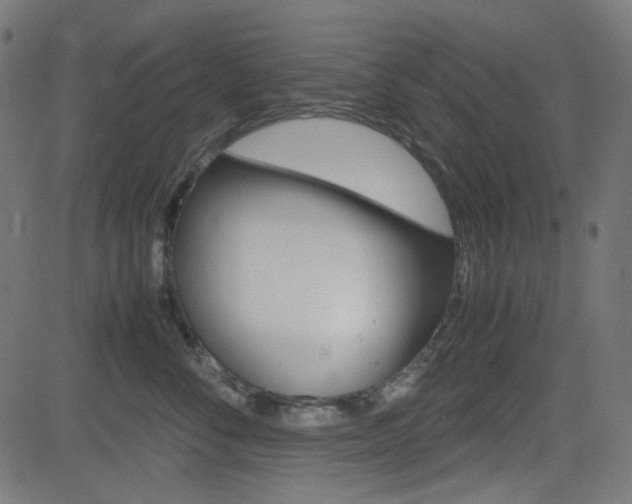 X0000082990716200702011144