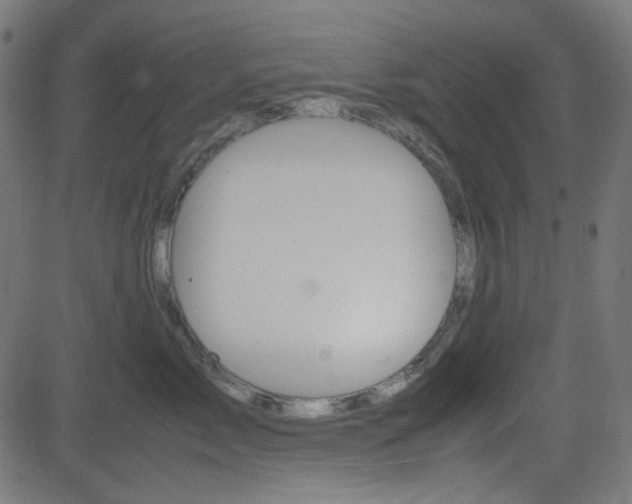 X0000082990717200702011144