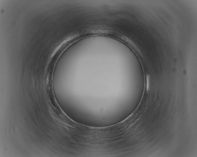 X0000082990723200702011143