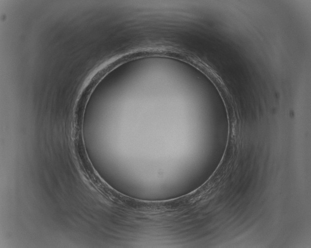X0000082990724200702011143