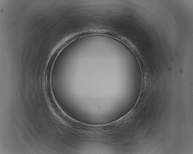X0000082990726200702011143