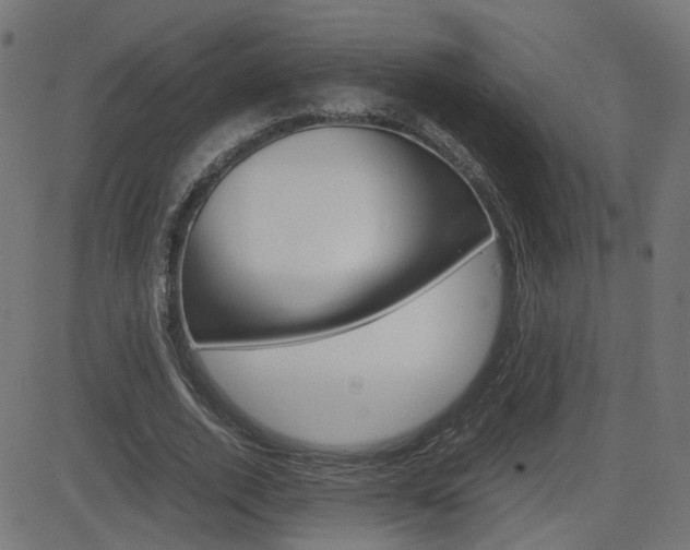 X0000082990728200702011143