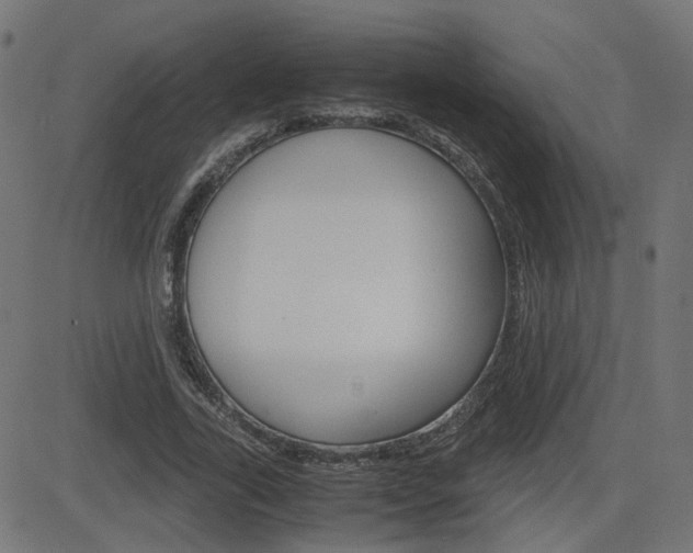 X0000082990731200702011143