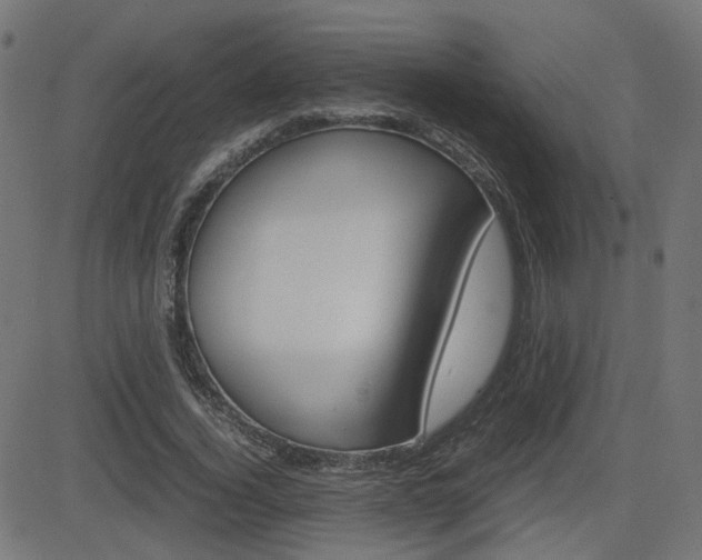 X0000082990732200702011143
