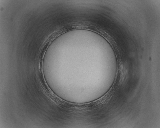 X0000082990733200702011143