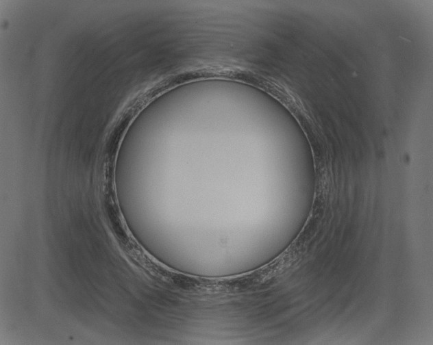 X0000082990736200702011143