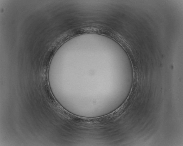 X0000082990737200702011143
