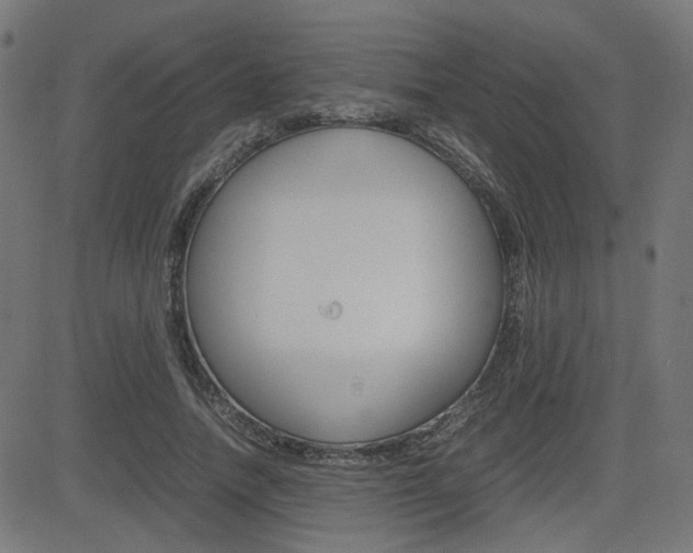 X0000082990738200702011143