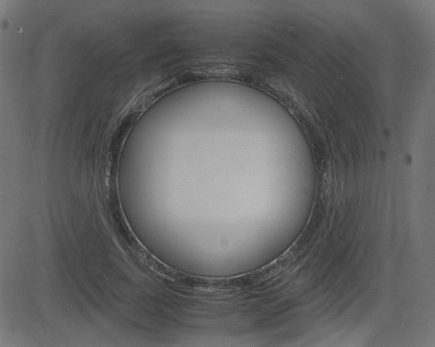 X0000082990739200702011143