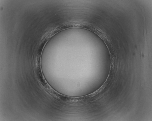 X0000082990740200702011143