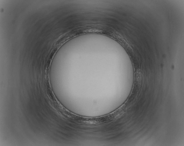 X0000082990741200702011143