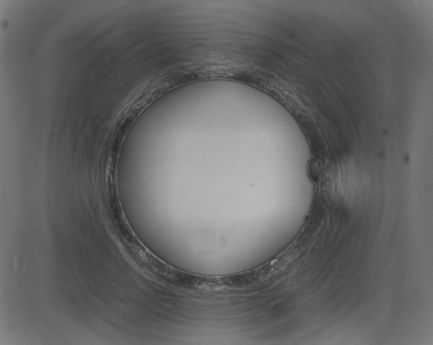 X0000082990742200702011143