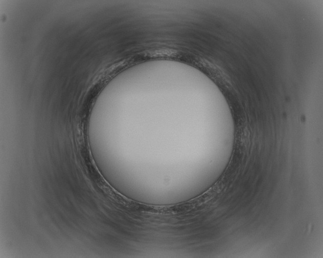 X0000082990743200702011143