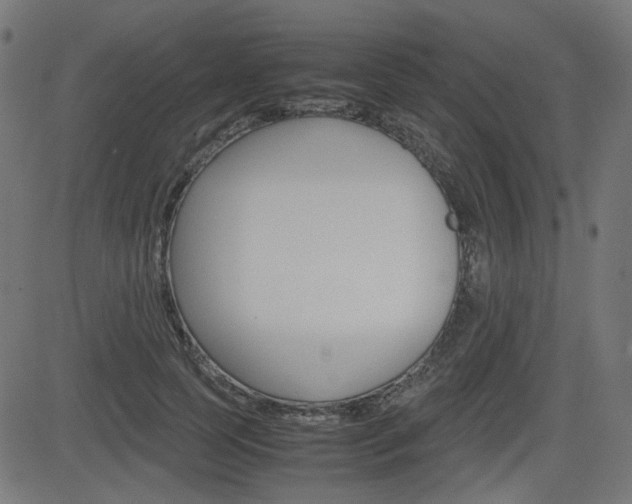 X0000082990745200702011143