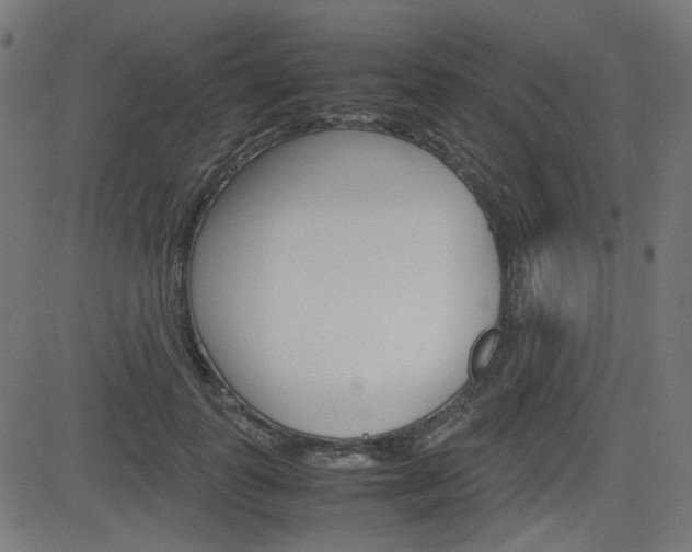 X0000082990747200702011143