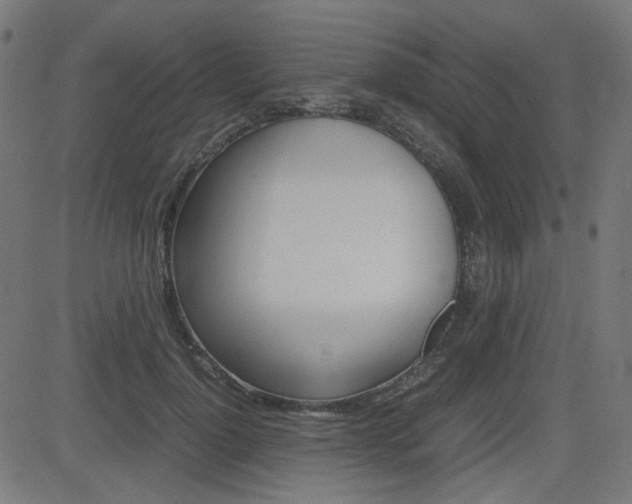 X0000082990748200702011143