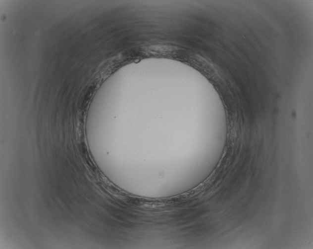 X0000082990749200702011144
