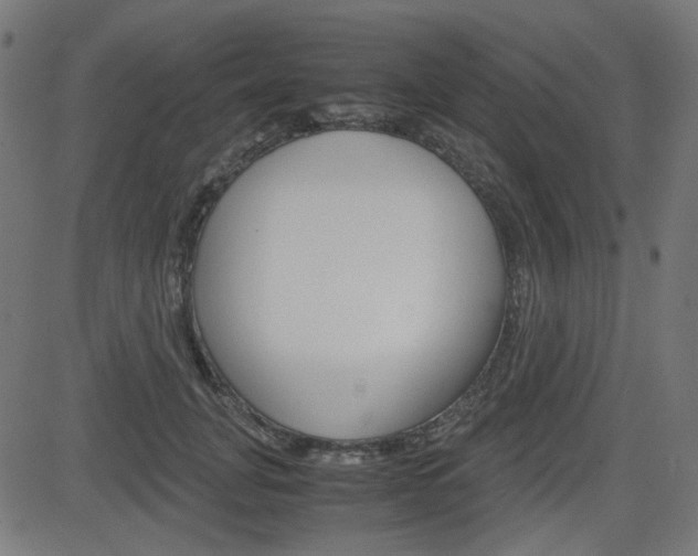 X0000082990751200702011144