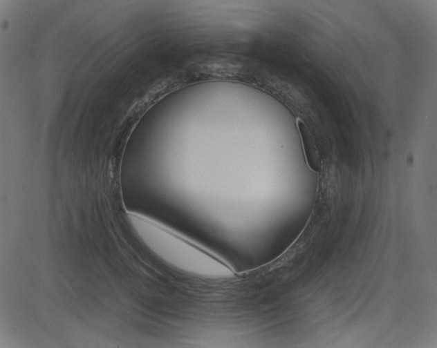 X0000082990752200702011144