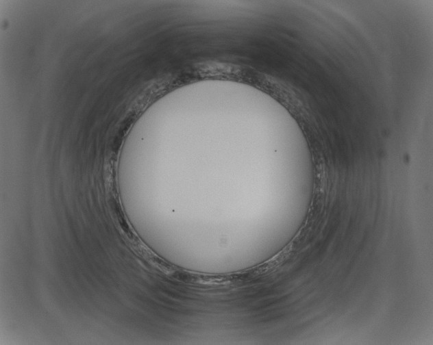 X0000082990753200702011144