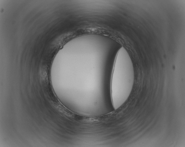 X0000082990754200702011144