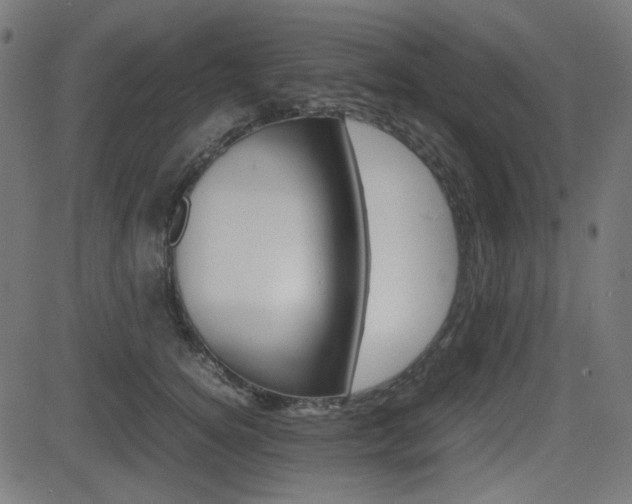 X0000082990756200702011144