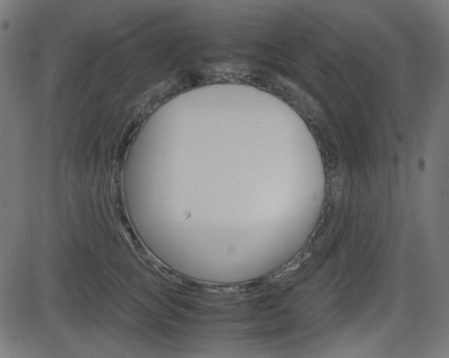 X0000082990757200702011144