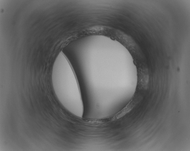 X0000082990758200702011144
