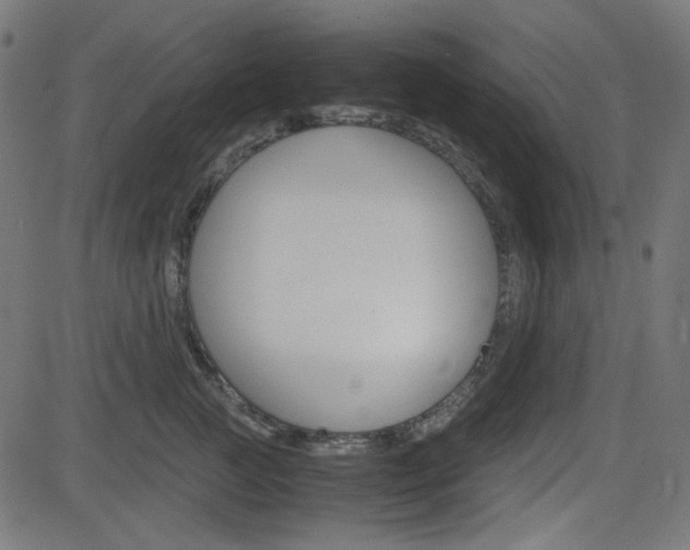 X0000082990761200702011144