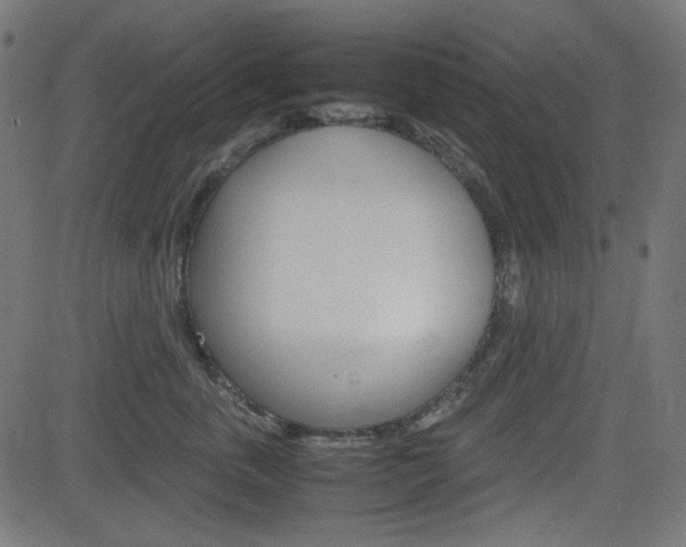 X0000082990763200702011144