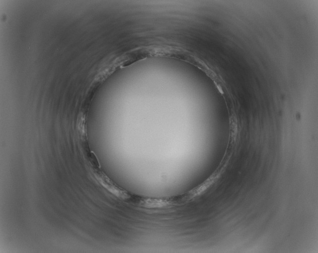 X0000082990766200702011144